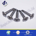 Made in China Cross Recessed Pan Head Screws